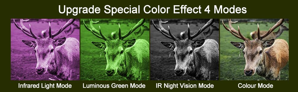 Color y los Efectos de Visión Nocturna